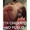 Tierno 21