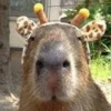 Capybara Are My Life 26