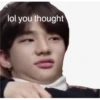 stray  kids 14