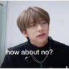 stray  kids 15