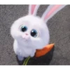 Tierno 23
