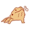 Cute Bearded Dragons 13