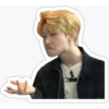 stray  kids 18