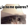 Tierno 25
