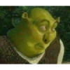 shrek 10