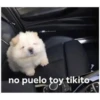 Tierno 27