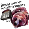 Bear @boro64 17