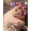 Memes 29