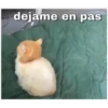 Tierno 28
