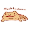 Cute Bearded Dragons 19