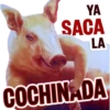 YA SACA LA COCHINADA