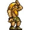 Metal Slug 30
