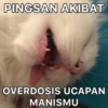 PINGSAN AKIBAT
OVERDOSIS UCAPAN
MANISMU