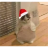 Navidad Random 7