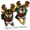 Navidad Random 11