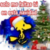 solo me faltas tú
en esta navidad