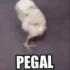 PEGAL