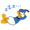 DONALD DUCK AND FRIENDS BLANCA AT 13