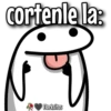 florksito 13