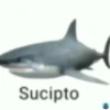 Sucipto