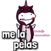 flork chicas ᥫ᭡ 13