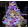 Navidad Random 18