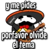 flork mariachi ᥫ᭡ 6