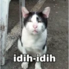 idih-idih