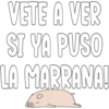 VETE A VER
SI YA PUSO
LA MARRANA!
@