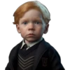 harry P.-kinder magic ‍ 17