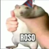m
ROSO
