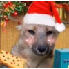 Navidad Random 25