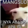 MANGSUD
NYA ABANG
APA YA