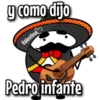 flork mariachi ᥫ᭡ 12
