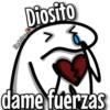 florksito 29