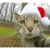 Navidad Random 29