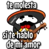 flork mariachi ᥫ᭡ 13