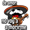 flork mariachi ᥫ᭡ 14