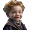 harry P.-kinder magic ‍ 27