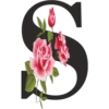 🌼💐Abecedario Floral🌷🌺 5