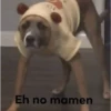 shitpost 6