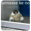 shitpost 7