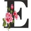 LE