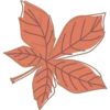 Otoño 1 5