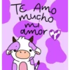 Spanish phrases 8