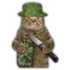 Gatitos y algo más 6