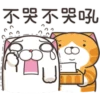 白爛貓27超開心P.2 8