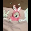 Animais Fofos 12