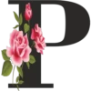 🌼💐Abecedario Floral🌷🌺 9
