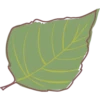 Otoño 1 11